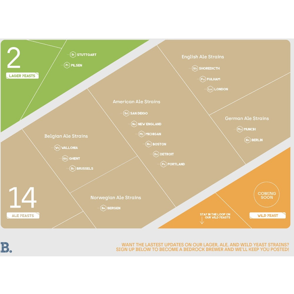 COLOGNE BLUESTONE LIQUID YEAST