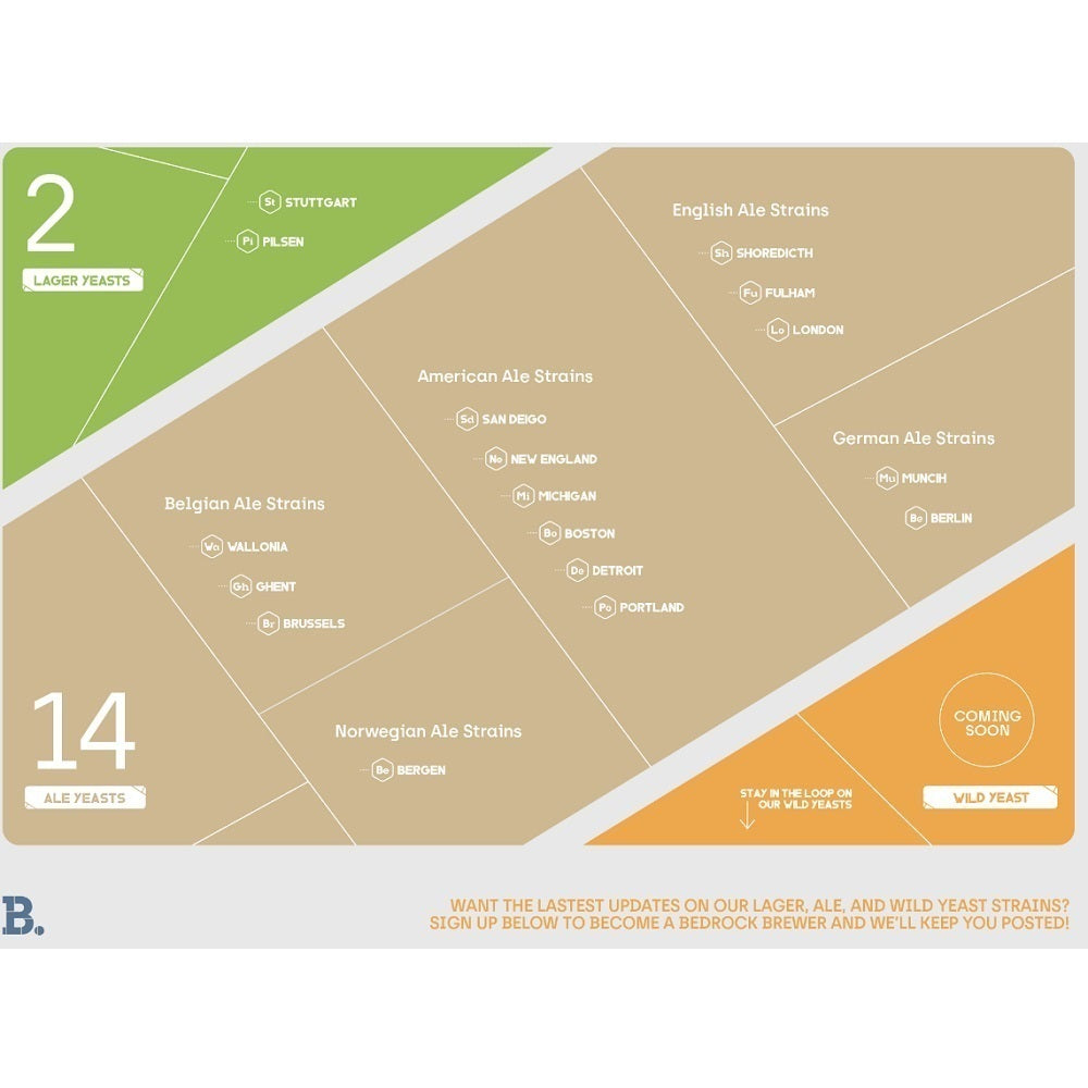 OSLO BLUESTONE LIQUID YEAST