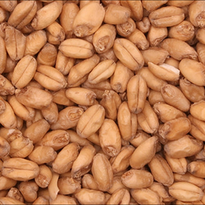 BARRETT BURSTON WHEAT MALT 1kg