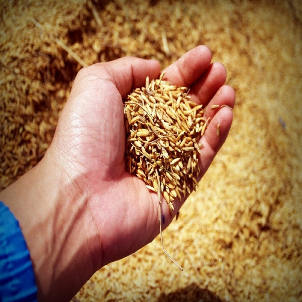 BLUE LAKE FLAKED OATS INFUSION PACK