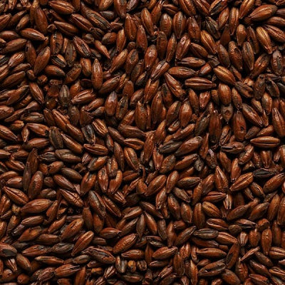 JOE WHITE LIGHT ROASTED MALT