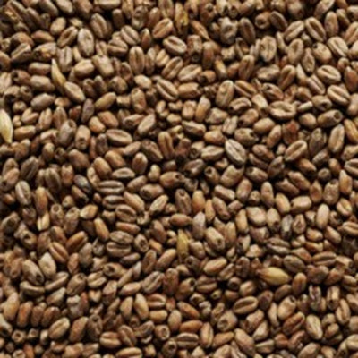 JOE WHITE ROASTED WHEAT