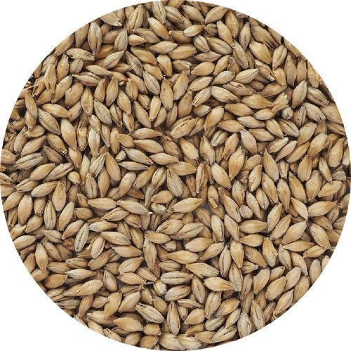 MALLOKUP GERMAN PILSNER MALT
