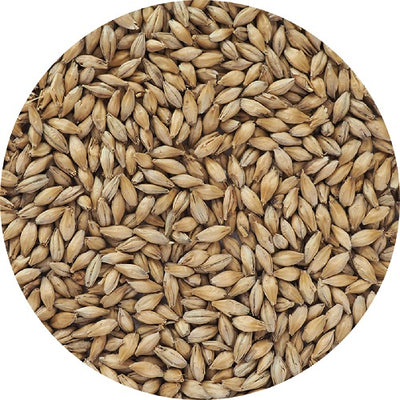 MALLOKUP GERMAN PILSNER MALT
