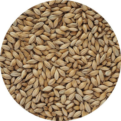 MALLOKUP PALE MALT