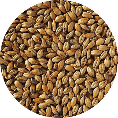 MALLOKUP ROASTED BISCUIT MALT