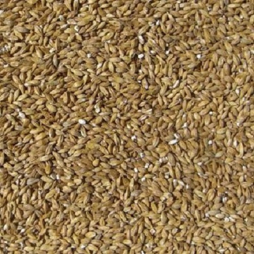 WY FLOOR MALTED BO PILSNER