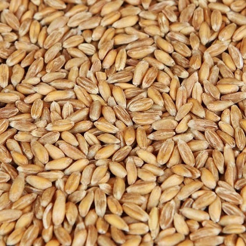 WY SPELT MALT