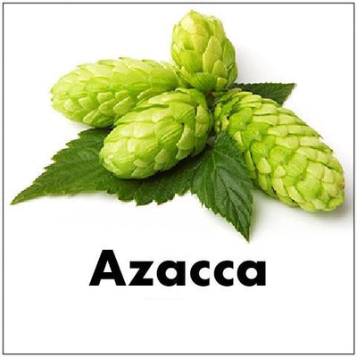 HOPS AZACCA PELLETS
