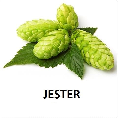 HOPS JESTER PELLETS