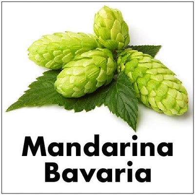 HOPS MANDARINA BAVARIA PELLETS