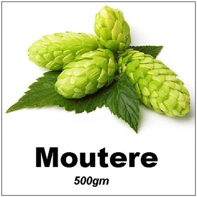 HOPS MOUTERE (BROOKLYN) PELLETS