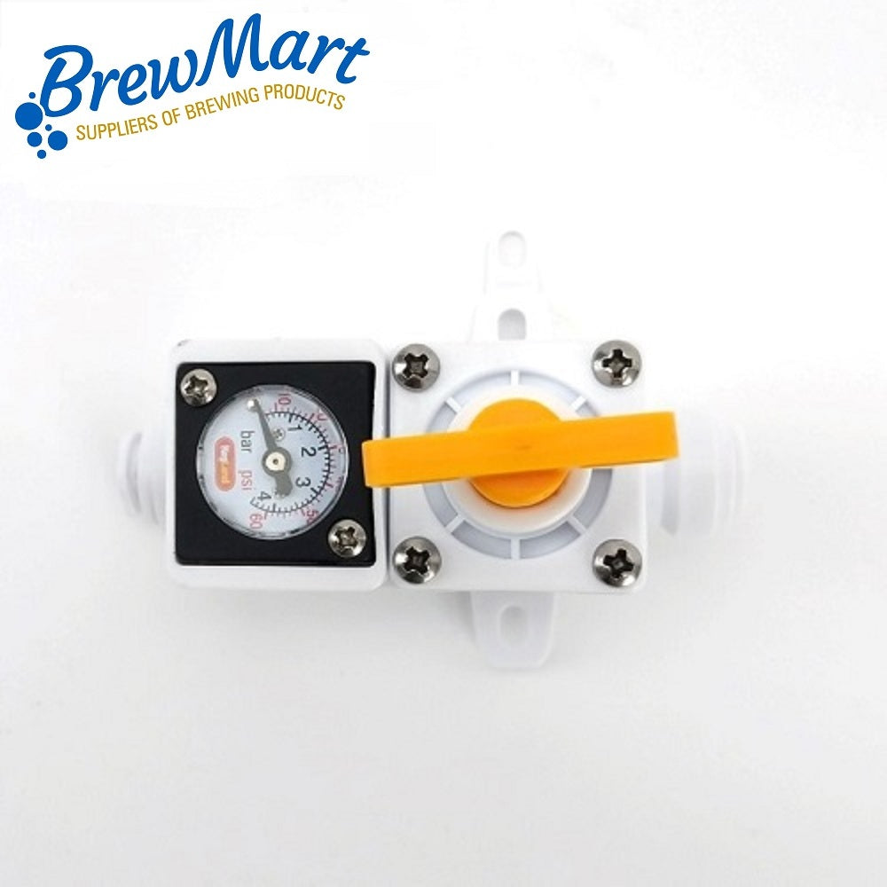 REGULATOR - INLINE 60psi