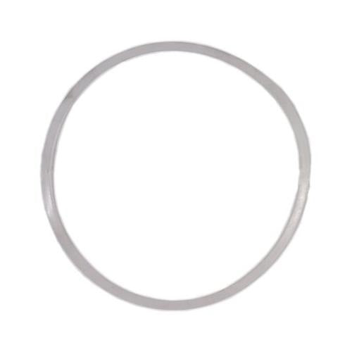 BREWZILLA & DIGIBOIL LID SEAL