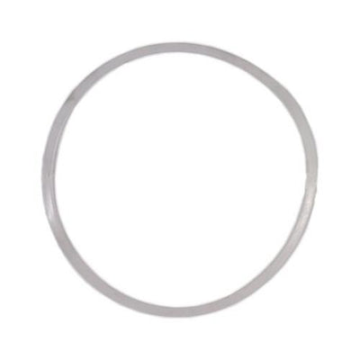 BREWZILLA & DIGIBOIL LID SEAL