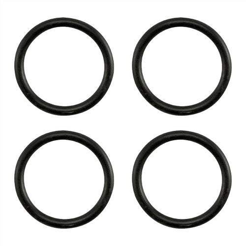 Ss CHRONICAL ORING KIT