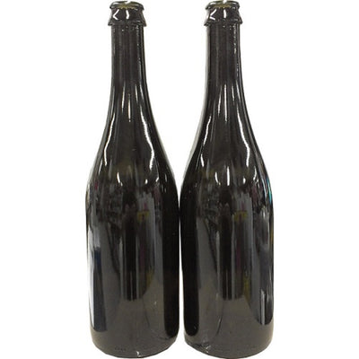 BOTTLE CHAMPAGNE 750ml BOX of 20
