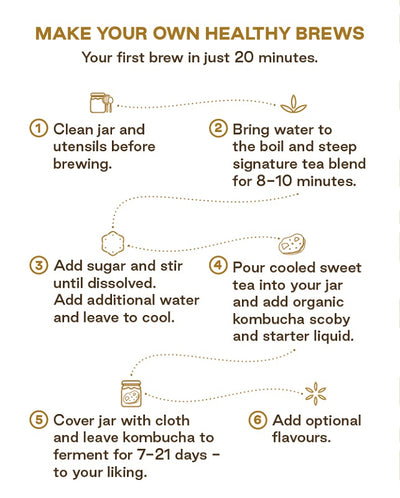 MAD MILLIE KOMBUCHA KIT