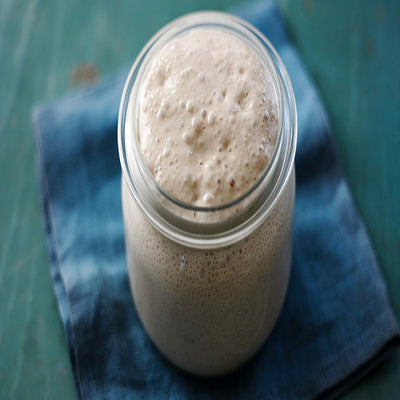 SOURDOUGH STARTER 50gm