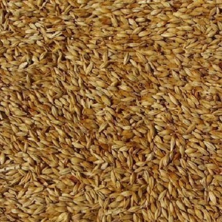 WY ABBEY MALT