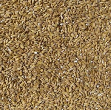 WY ACIDULATED MALT