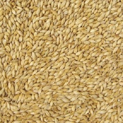 WY BOHEMIAN PILSNER MALT