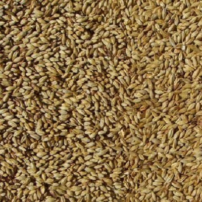 WY CARAAMBER MALT