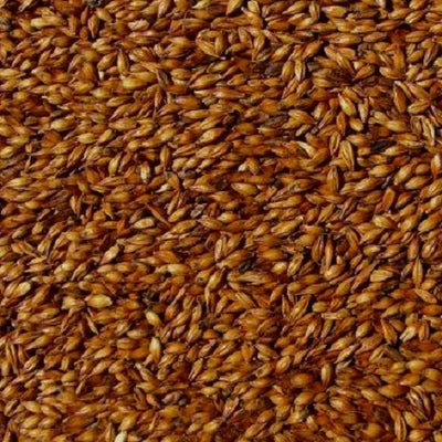 WY CARAAROMA MALT