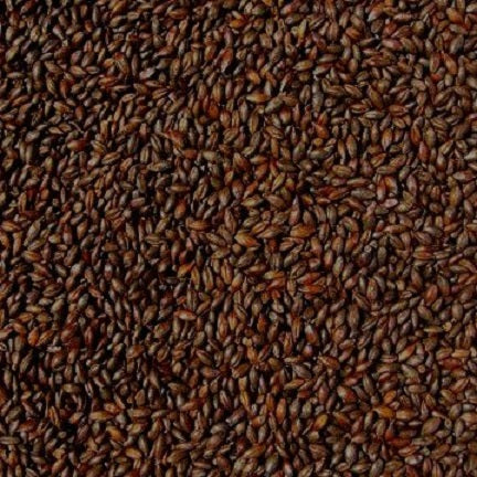 WY CARAFA TYPE 1 SPECIAL