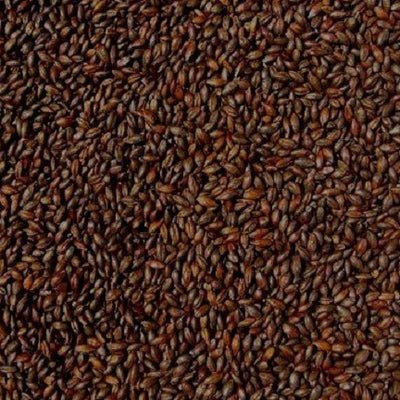 WY CARAFA TYPE 1 SPECIAL