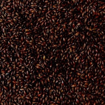 WY CARAFA TYPE 2 SPECIAL