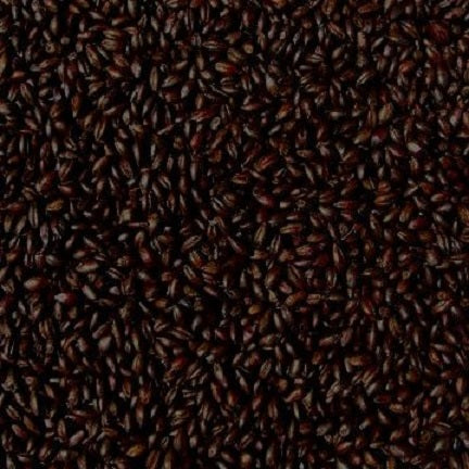 WY CARAFA TYPE 3 SPECIAL