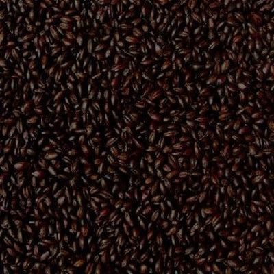 WY CARAFA TYPE 3 SPECIAL