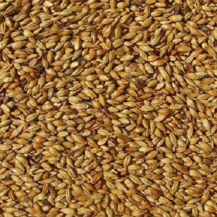 WY CARAMUNICH T1 MALT 500gm