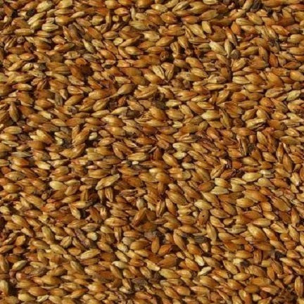 WY CARAMUNICH T3 MALT
