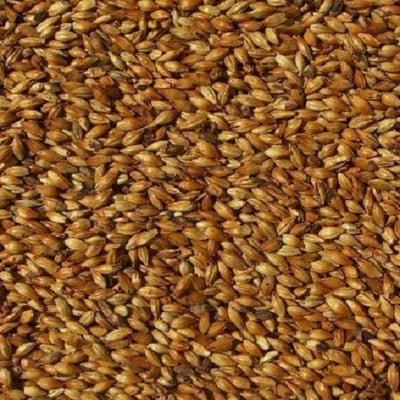 WY CARAMUNICH T3 MALT