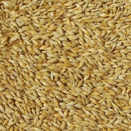 WY CARAPILS MALT