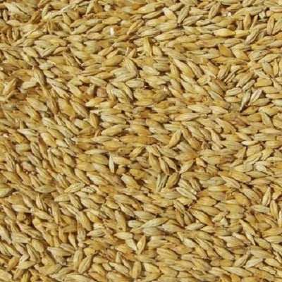 WY CARAPILS MALT