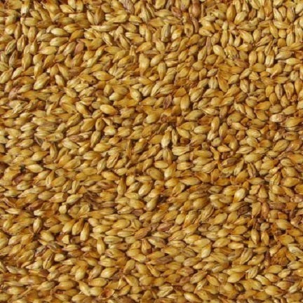 WY CARARED MALT