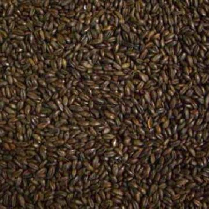 WY RYE - CHOCOLATE MALT