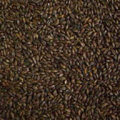 WY RYE - CHOCOLATE MALT