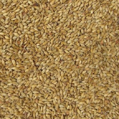 WY MELANOIDIN MALT