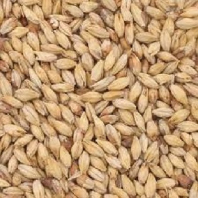 BARRETT BURSTON PALE MALT