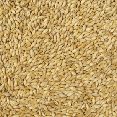 WY PILSNER MALT