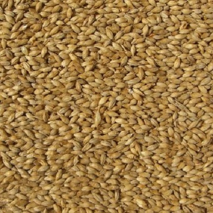 WY SMOKED BEECHWOOD MALT