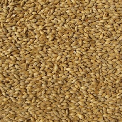 WY SMOKED BEECHWOOD MALT