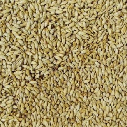 WY VIENNA MALT 500gm