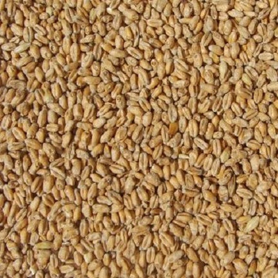 WY WHEAT SMOKED OAK MALT