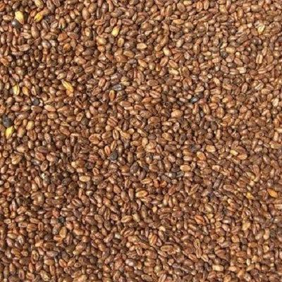 WY WHEAT - CARAMEL MALT