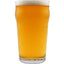 IPA - AMERICAN IPA